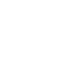 OSA Andes logo